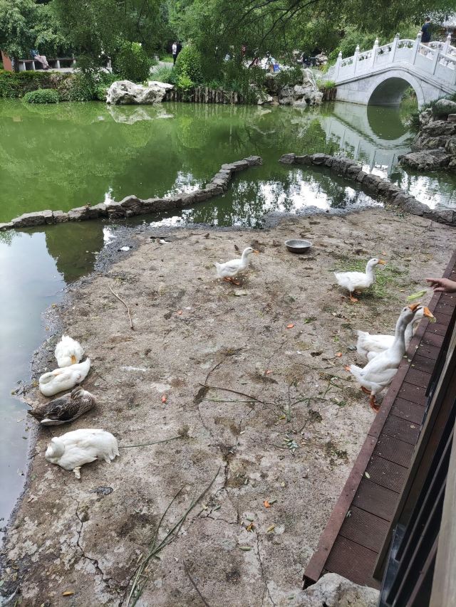 宣武艺园旅行图片 14