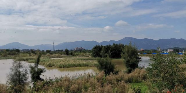 闽江河口国家湿地公园旅行图片 2