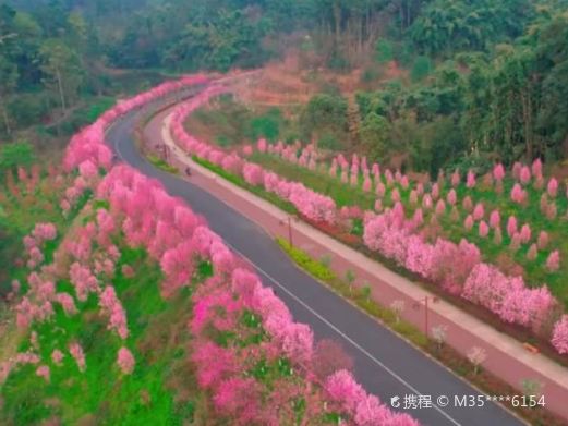 绿心公园