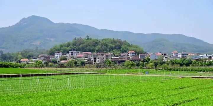 大湖山龍鳳谷