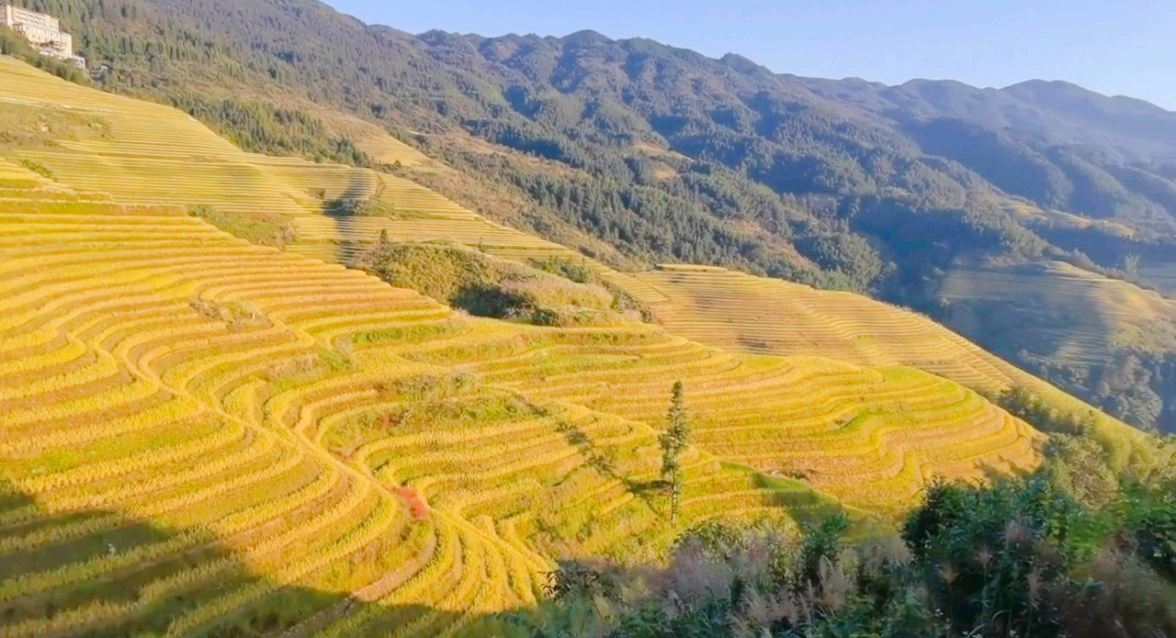 西山韶乐观景点