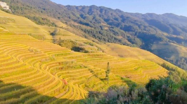 西山韶樂觀景點