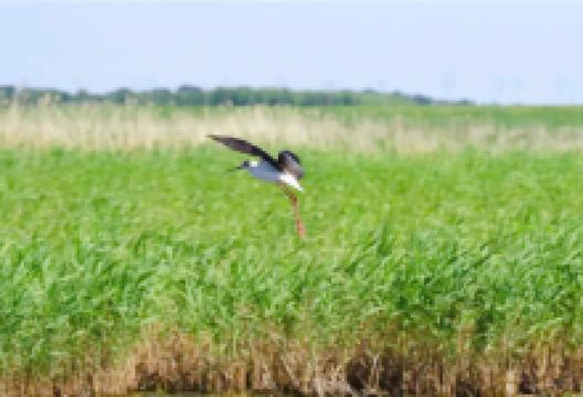 千鹤岛旅游风景区景点图片