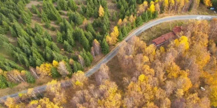 烏蘇佛山森林公園