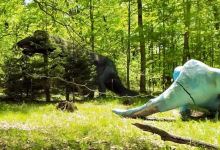 Petrified Creatures景点图片