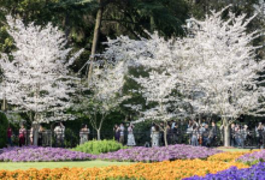 鲁迅公园景点图片