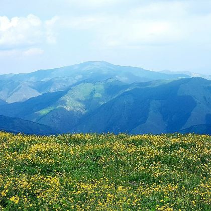 山西忻州4日3晚自由行