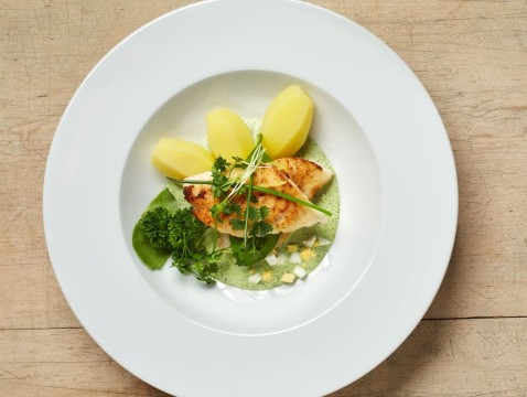 NORDSEE Frankfurt Fisch Franke