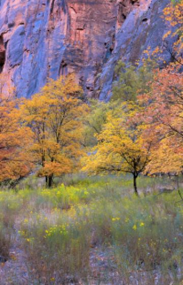 美国五大国家公园4日3晚跟团游图片