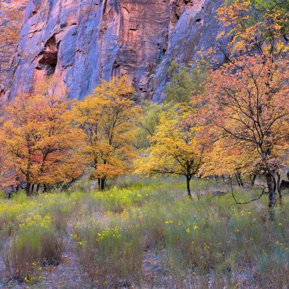 美国旧金山+洛杉矶+拉斯维加斯8日7晚自由行