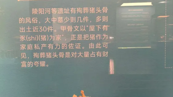 陵陽河遺址