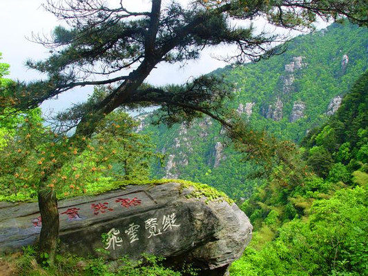 江西旅游:难忘秀美庐山行(图)
