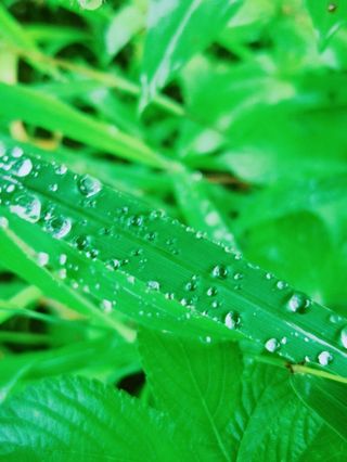 莫干山避暑胜地，放飞自我的地方