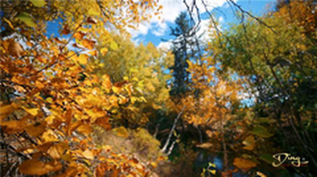 克什克腾旗游记图片] 克什克腾旗秋季刚刚好，三天两夜看最美秋景，内含近期省钱攻略哦