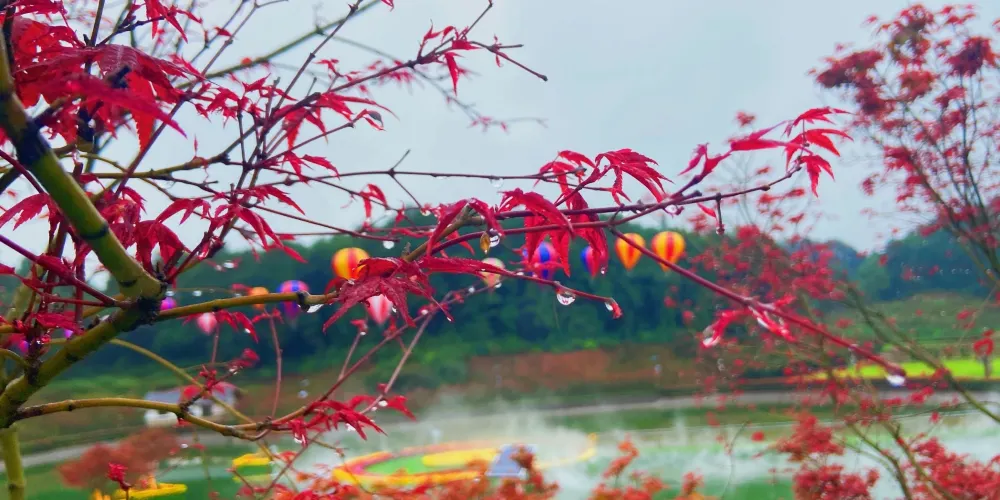 永安旅遊