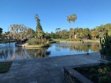 悉尼皇家植物园-悉尼-多多