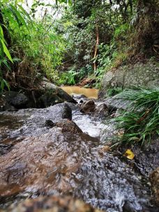 新兴天露山旅游度假区-新兴-噼里啪啦