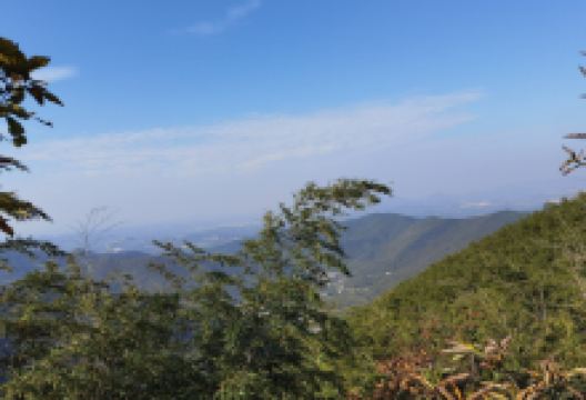 黄塔顶景点图片