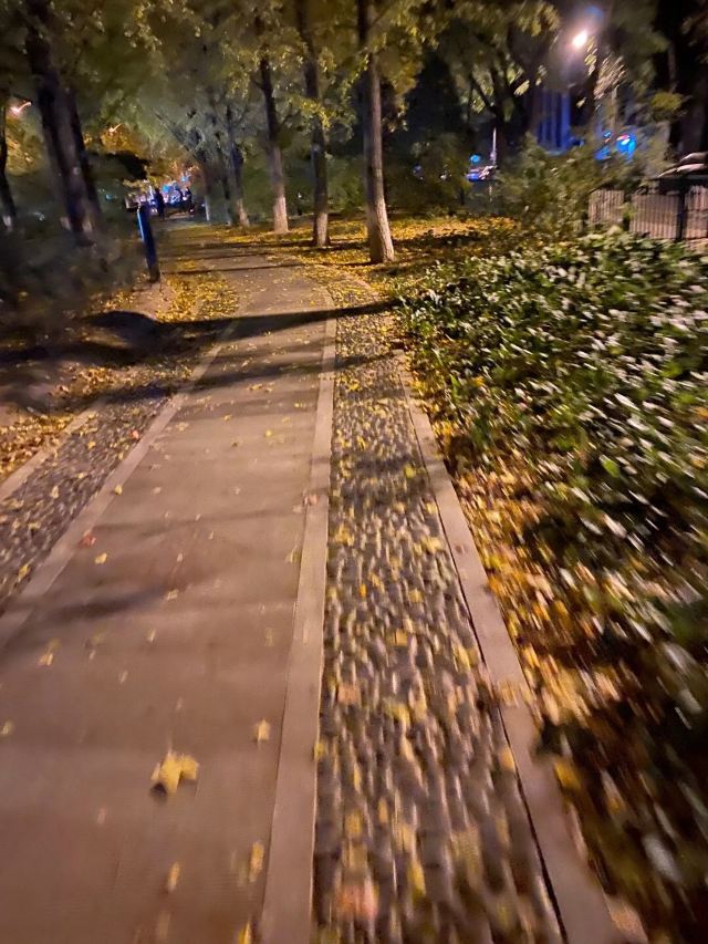 皇城根遗址公园旅行图片 3