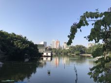 南宁人民公园-南宁-qianjiangyue