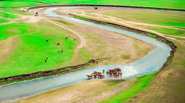 7-day 6-night · Private Tour · China + Inner Mongolia + Heilongjiang + Hulunbuir + Harbin Sophia Square + Hulunbuir Grasslands