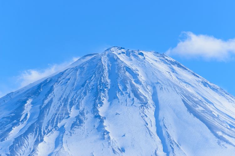 日本必玩活動