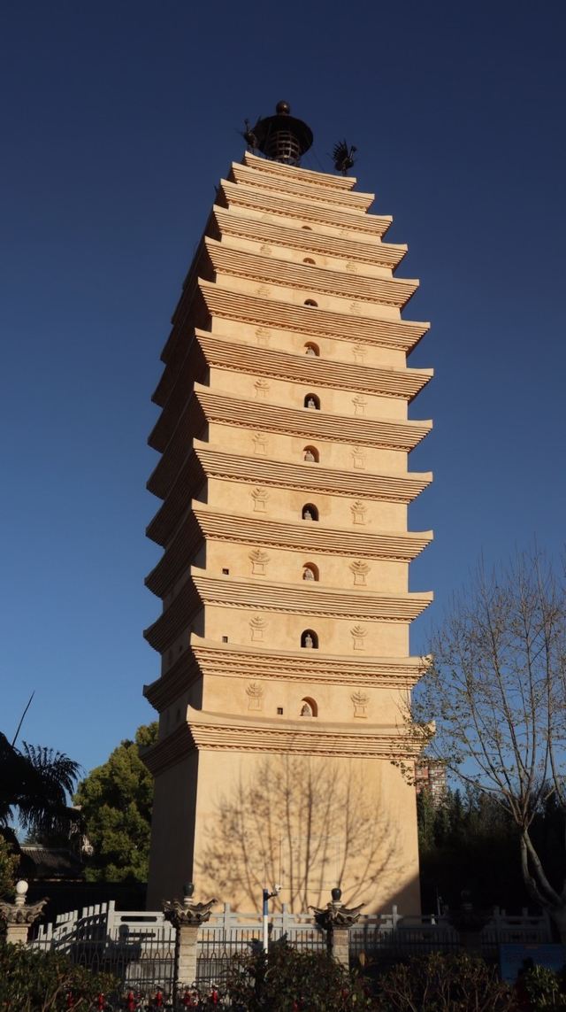东寺塔茶花园旅行图片 2