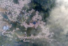 青龙湖公园景点图片