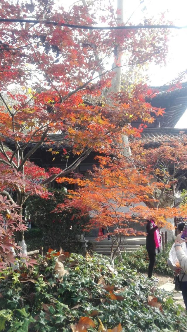 栖霞禅寺牌坊旅行图片 2