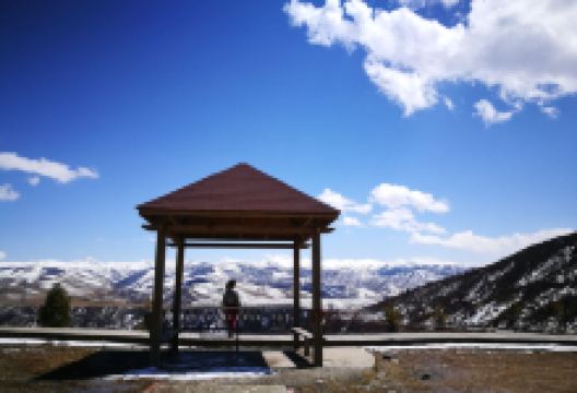 阿坝县若柯牧场美食图片