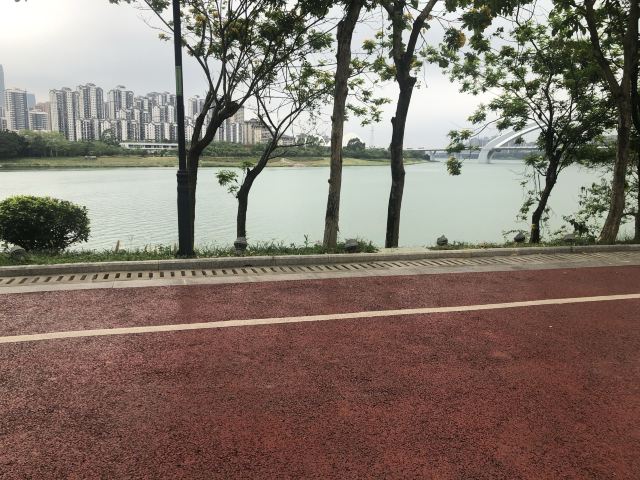 邕江北岸公园旅行图片 6