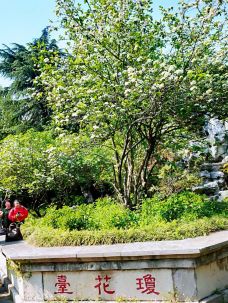 琼花观(文昌中路)-扬州-永向前