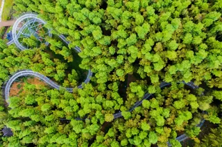 惬意出游·国庆花样打卡中国大竹海！