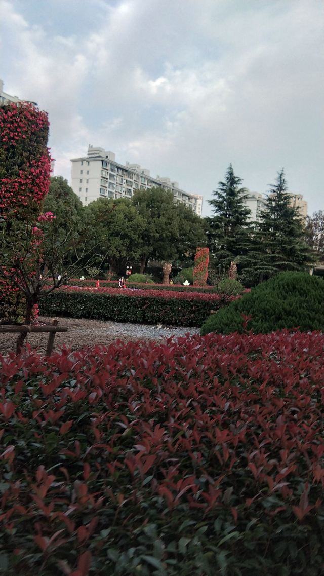 曲阳公园旅行图片 4