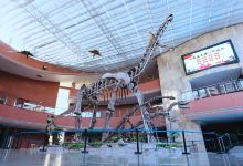 河源恐龙博物馆景点图片