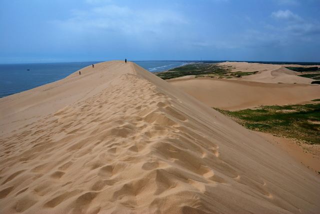 七里海澙湖湿地旅行图片 1
