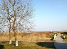 阳澄湖美人腿风景区-苏州-一杯清茶看春秋！