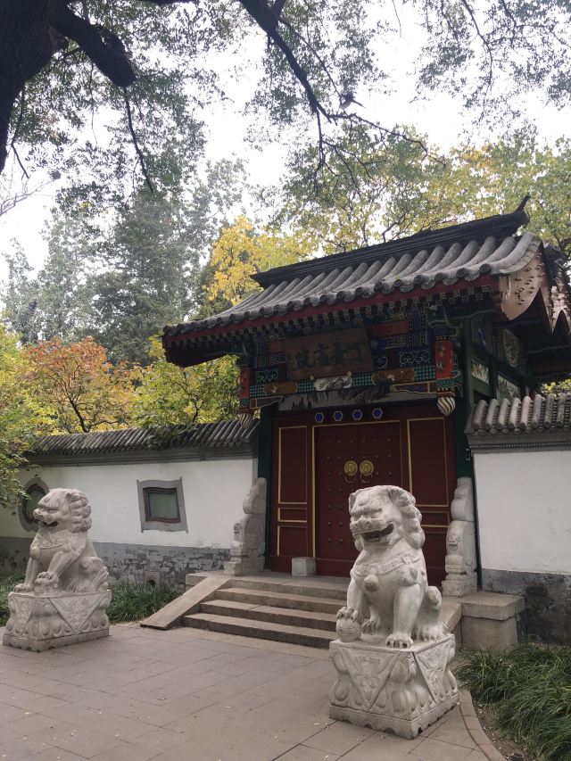 宣武艺园旅行图片 2