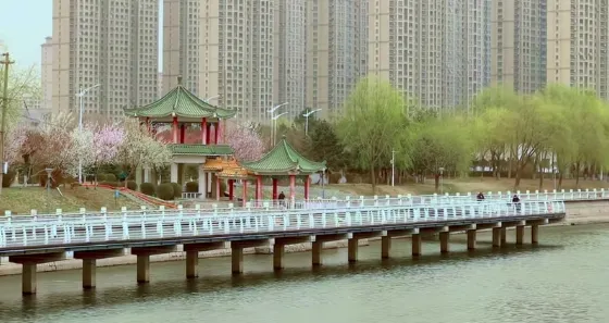 松濤園