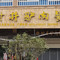槐树井驴肉餐馆(祥云店)