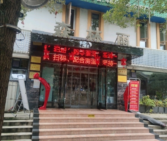 森林雨(北川旗舰店)