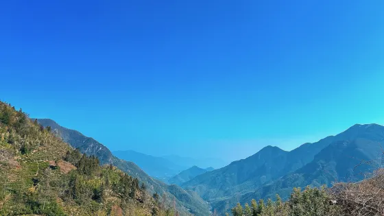 九畝村