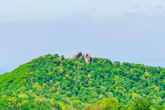 三块石国家森林公园景点图片