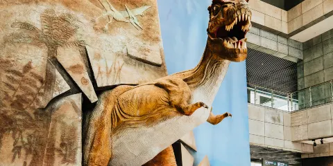 二連浩特博物館