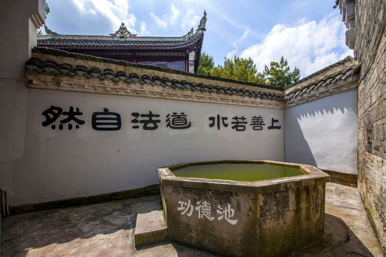 Gallery 1