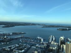 天空塔-奥克兰-山东游子