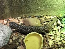 墨尔本水族馆-墨尔本-多多