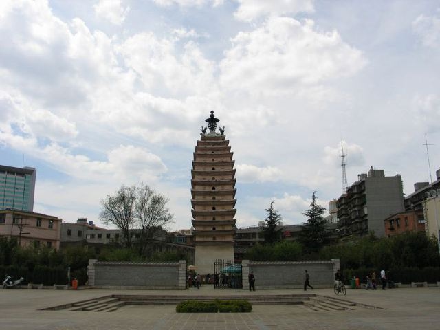 东寺塔茶花园旅行图片 3