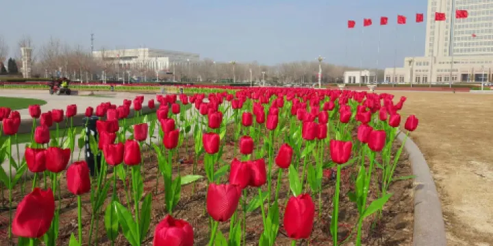劉集紅色旅遊區