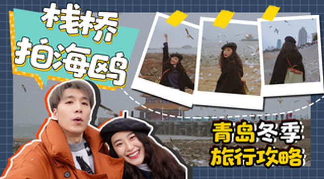 青岛冬季旅行新玩法之必玩项目：拍海鸥！